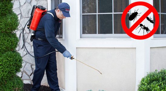 Yüreğir Fare İlaçlama böcek ilaçlama ve haşere kontrolü — ilaclama-tr.com
